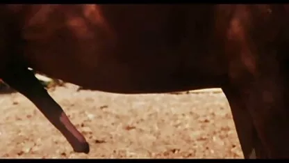 थोड़ा एक परिश्रम से एक काले आदमी को एक blowjob सेक्सी शॉर्ट मूवी देता है और एक लंबे डिक पर बैठता है